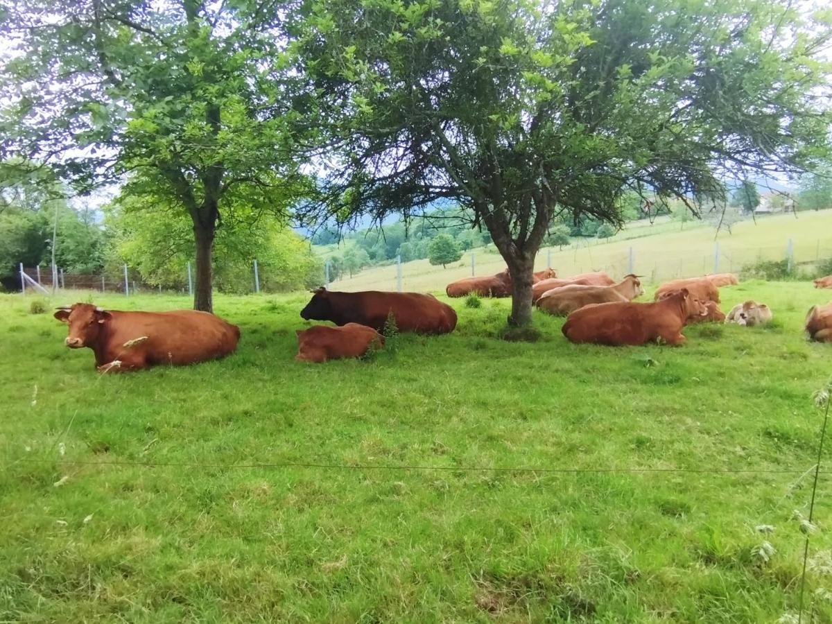 Casa Rural El Jondrigu Onís Kültér fotó